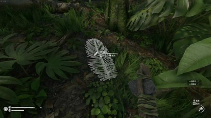 嘉啊123发布了一个斗鱼视频2020-05-05