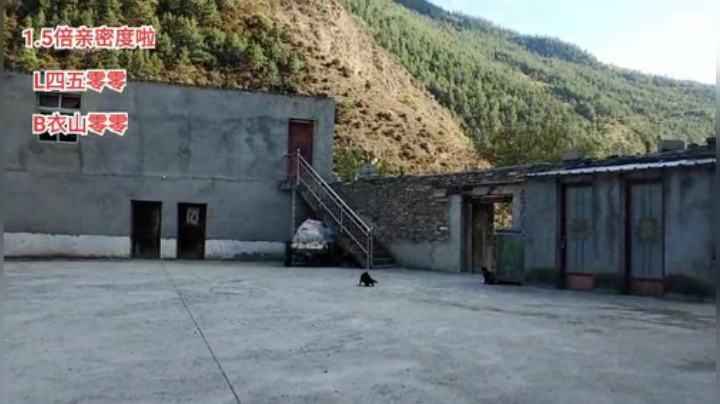 《咖徒》 四姑娘山(≧ω≦)/ 2020-05-02 17点场