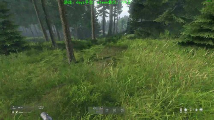 dayz 末日中一个迷路小蓝孩 2020-05-04 21点场