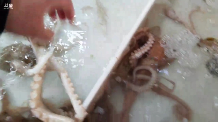 我在斗鱼看威海大叔直播美食