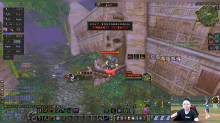 魔兽世界怀旧服：主T跑路，法师接过指挥棒！这是斯坦索姆来的吧