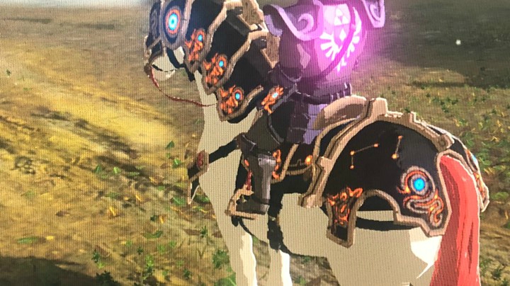 ns switch 塞尔达荒野之息