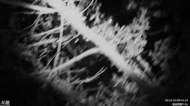 静思世语发布了一个斗鱼视频2020-05-06