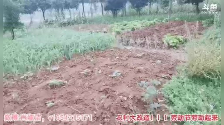 一条猪兒虫OvO发布了一个斗鱼视频2020-05-06