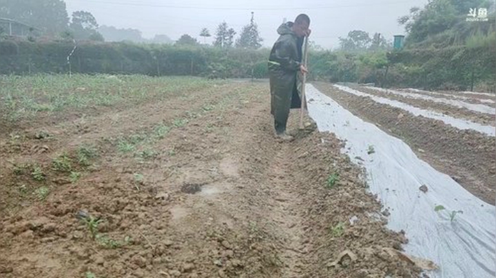 开心打野快乐美食 2020-05-06 10点场