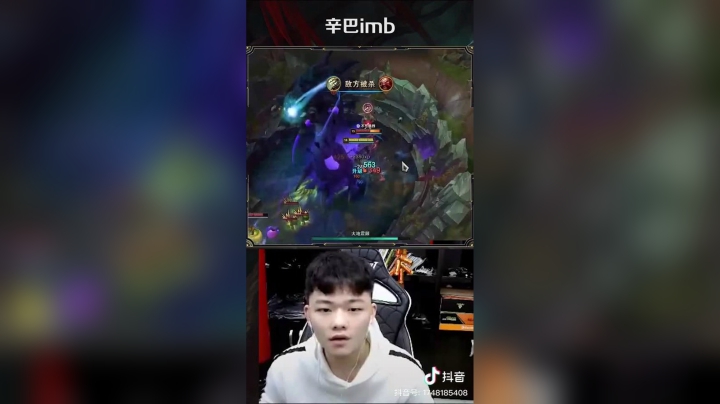 #lol多大仇，追那么远