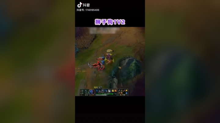 狮子狗1V2，强不强！