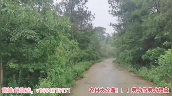 圆园团团发布了一个斗鱼视频2020-05-06