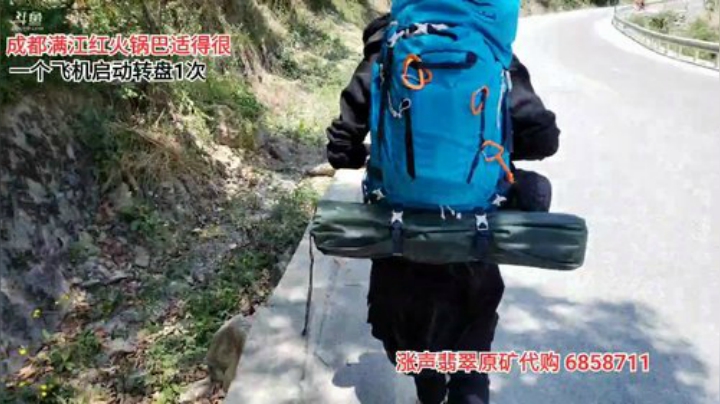 中午11点开播徒步(≧ω≦)/ 2020-04-28 13点场