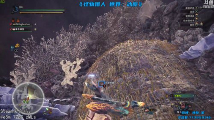 神隐：怪物猎人 世界 2020-05-04 20点场