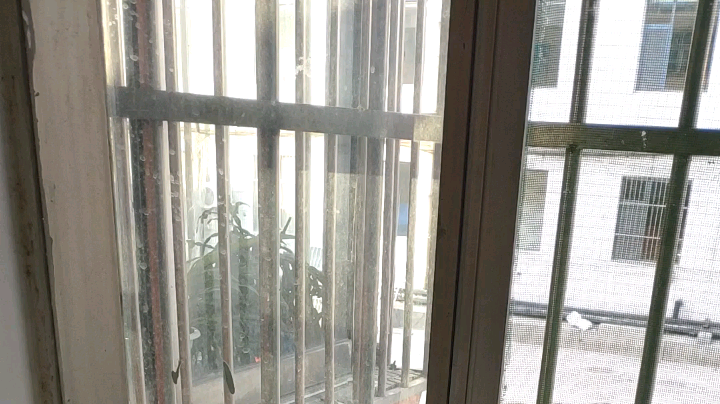 陈子敬丶发布了一个斗鱼视频2020-05-06