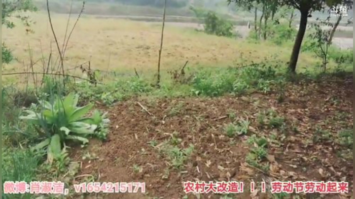 肖淑洁生命中的光和盐发布了一个斗鱼视频2020-05-06