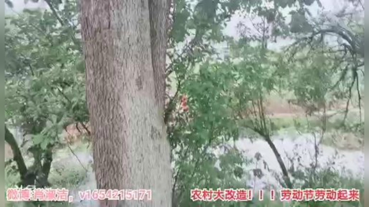 圆园团团发布了一个斗鱼视频2020-05-06