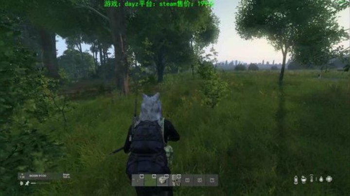 dayz 末日中一个迷路小蓝孩 2020-05-06 22点场
