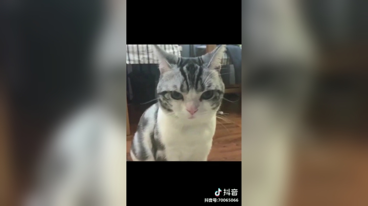 #如何驯服小怪兽