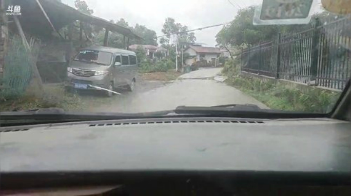 采摘山胡椒做山胡椒油。 2020-05-07 10点场