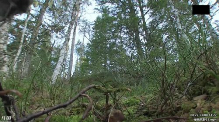 静思世语发布了一个斗鱼视频2020-05-07