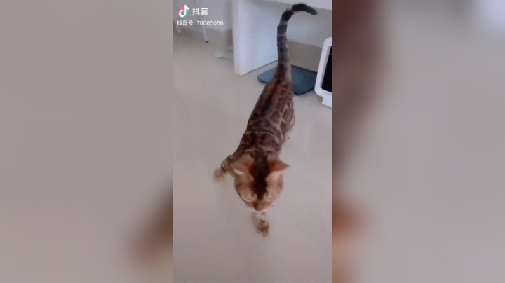 把头给我…