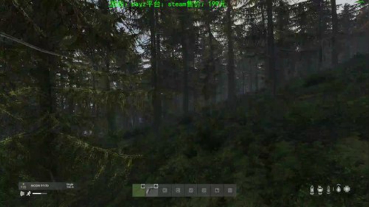 dayz 末日中一个迷路小蓝孩 2020-05-06 16点场