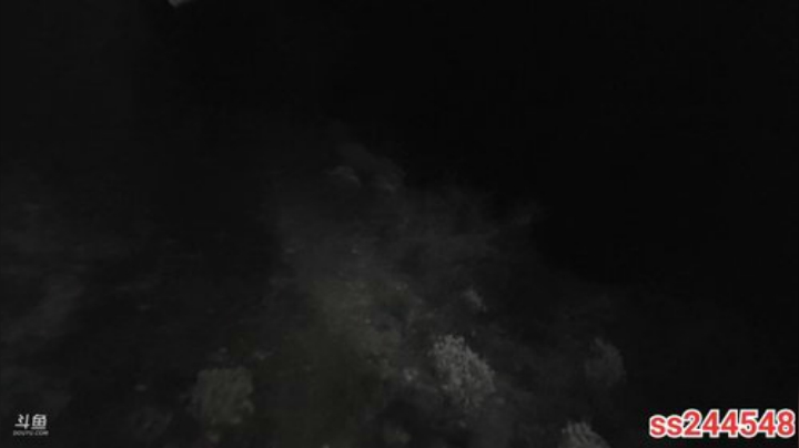 纪实直播:理塘到拉萨45天→雨崩村 2020-05-08 21点场