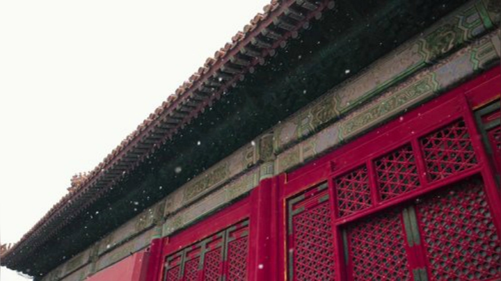 老丸子故宫看雪