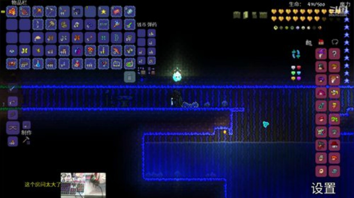 [泰拉瑞亚]玩游戏一定要快乐 2020-05-08 23点场