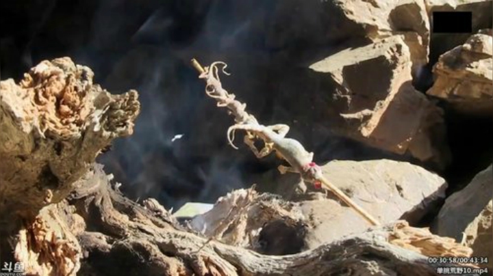 静思世语发布了一个斗鱼视频2020-05-09