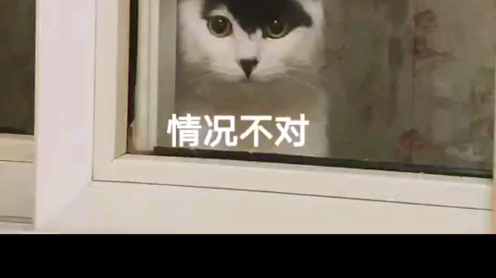 倾衣o发布了一个斗鱼视频2020-05-09