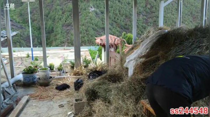 纪实直播:理塘到拉萨46天→飞来寺 2020-05-09 07点场