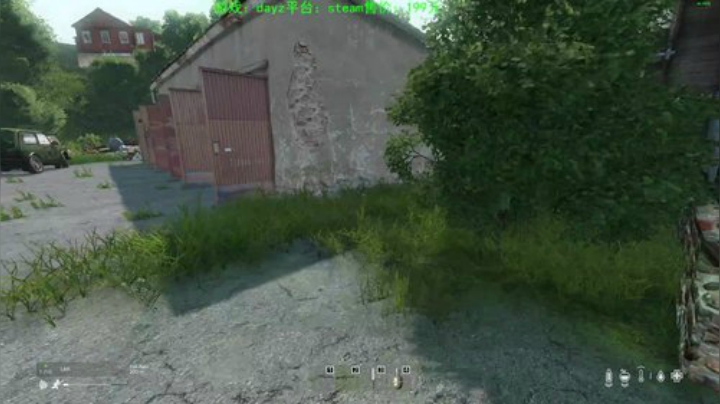 dayz (年轻人，游戏不是这么玩滴） 2020-05-08 15点场