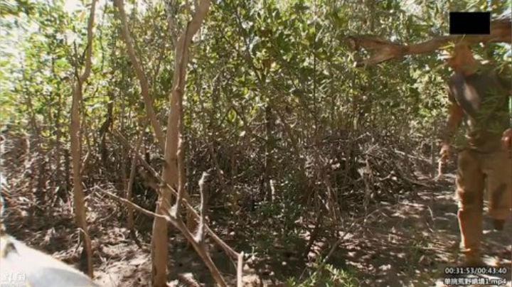 静思世语发布了一个斗鱼视频2020-05-10