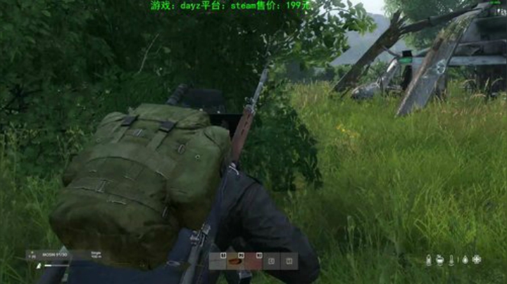 dayz (年轻人，游戏不是这么玩滴） 2020-05-09 21点场
