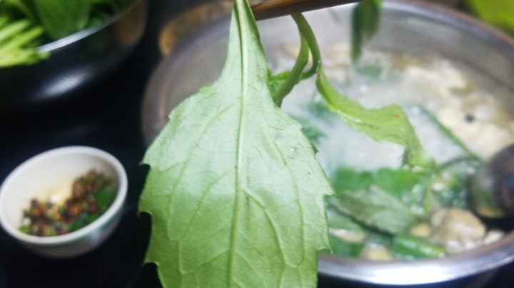 董事长鸡场