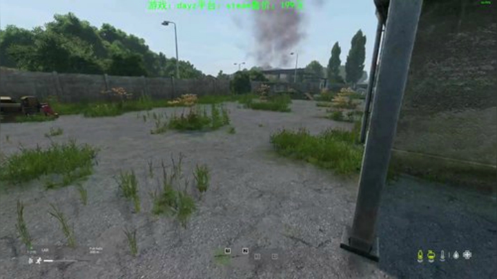 dayz (年轻人，游戏不是这么玩滴） 2020-05-10 19点场