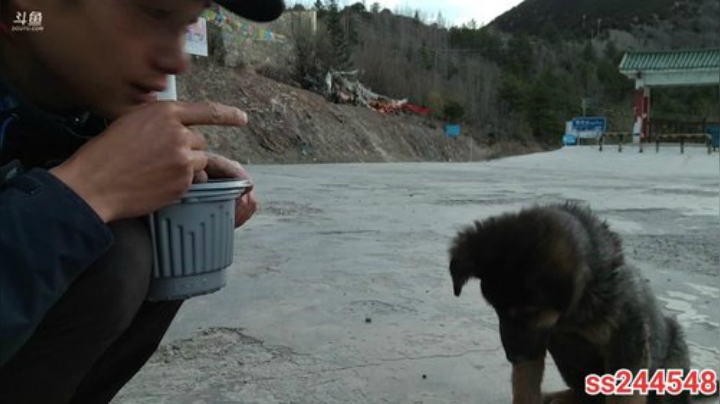 纪实直播:理塘到拉萨48天→左贡 2020-05-11 19点场