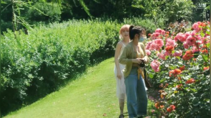 菜菜的瓜皮帽发布了一个斗鱼视频2020-05-12