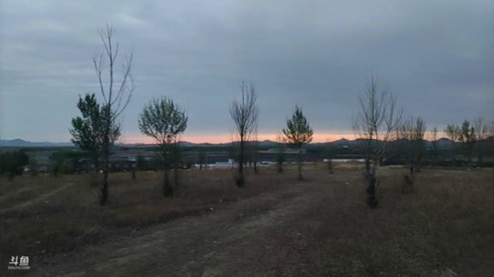 陪你等待日出 2020-05-09 04点场