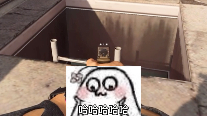 飞龙在自由落体？