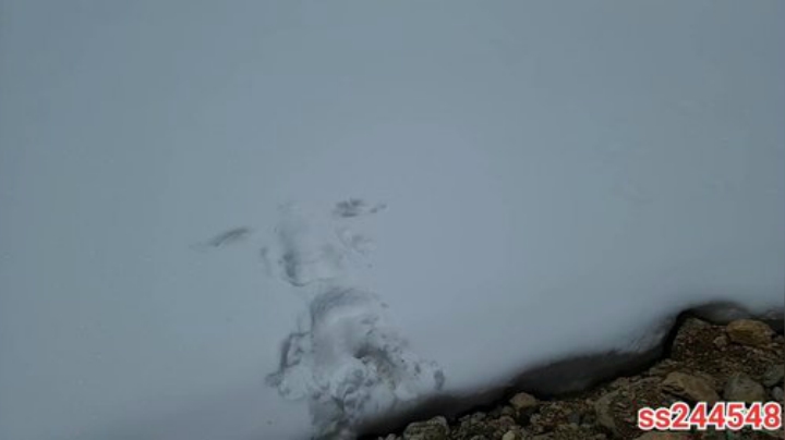 直播5周年快乐！ 2020-05-14 11点场