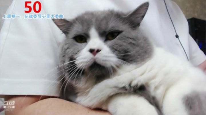 【哈斯】内蒙古黑骑士~ ❤️ 2020-05-14 18点场