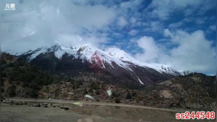 直播5周年快乐！ 2020-05-14 11点场