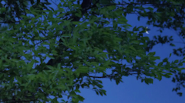欣小菜发布了一个斗鱼视频2020-05-14