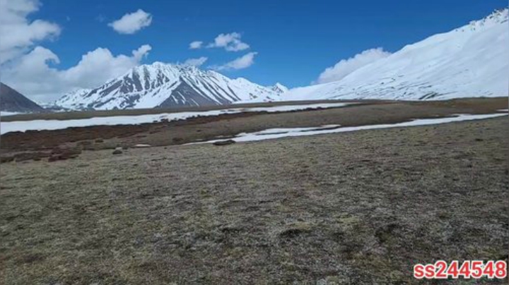 直播5周年快乐！5点开始 2020-05-14 15点场