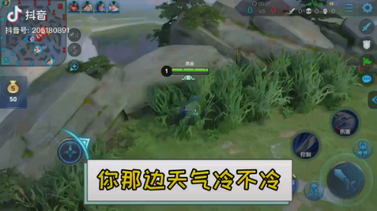 搞笑王者荣耀