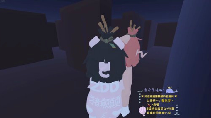 【ZDD】我就是白给的大笨猪～ 2020-05-13 22点场