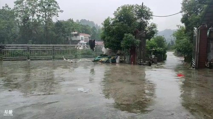 涨水了河道抢收地笼 2020-05-14 08点场