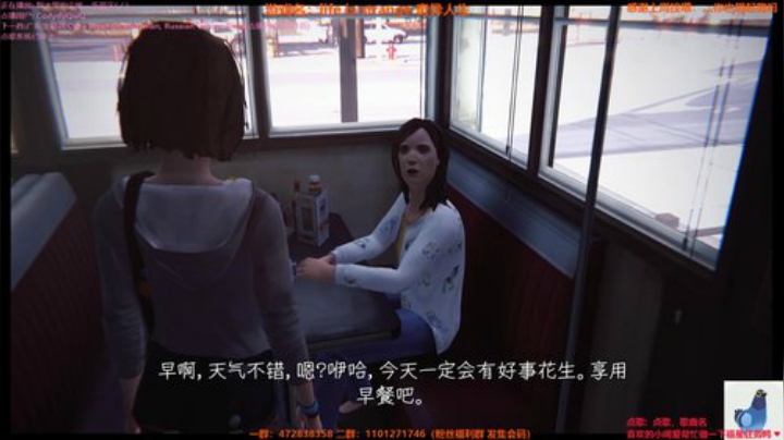 白给少女：小手一揣猫的贼快 2020-05-14 02点场