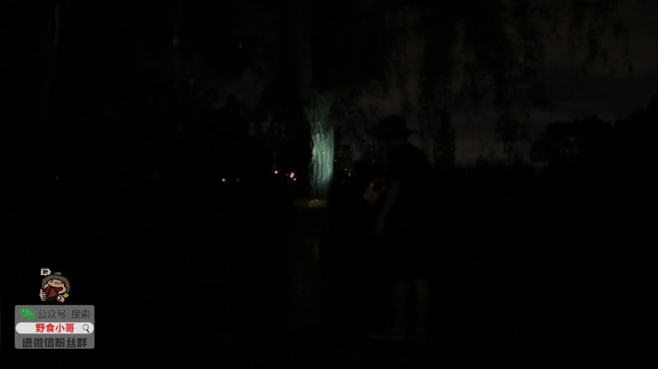 我在斗鱼看野食小哥直播美食