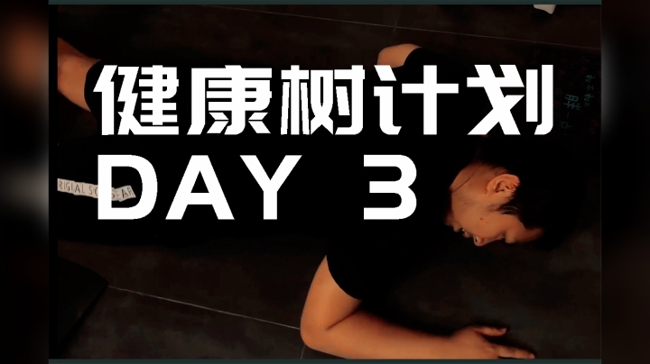 【健康树计划】Day3辛胜打卡