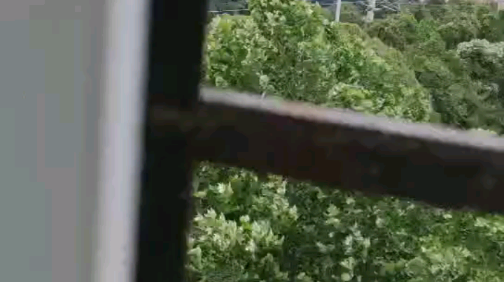变天了！！